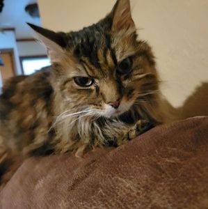 Meet your Posher, Samantha